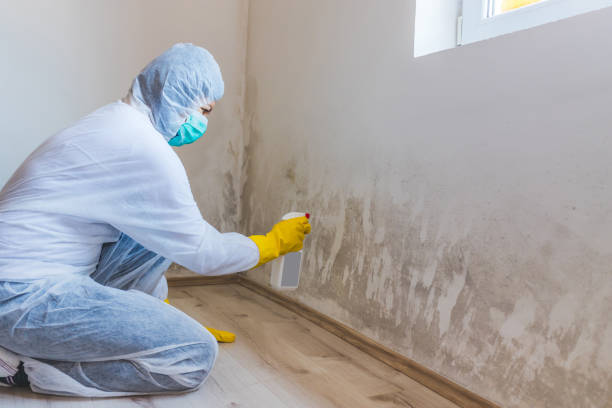 Licensed Commercial Mold Remediation service in Waldorf, MD - WQB Mold Removal