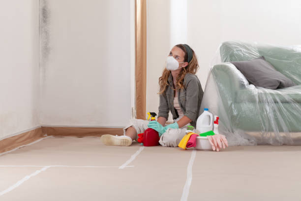 Reliable Commercial Mold Remediation contractor in Waldorf, MD by WQB Mold Removal